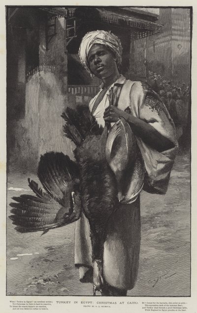 Turkey in Egypt, Christmas at Cairo by George L. Seymour